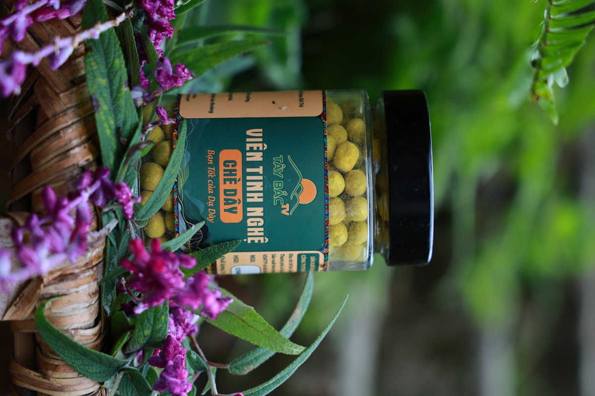 Viên tinh nghệ chè dây - Hành trình từ núi cao Tây Bắc đến “Bạn tốt của dạ dày”